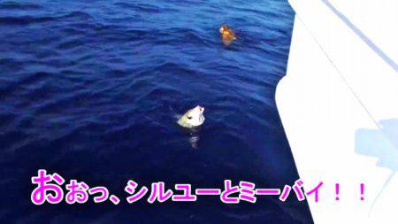 ＫＹＯＥＩⅢ 釣果