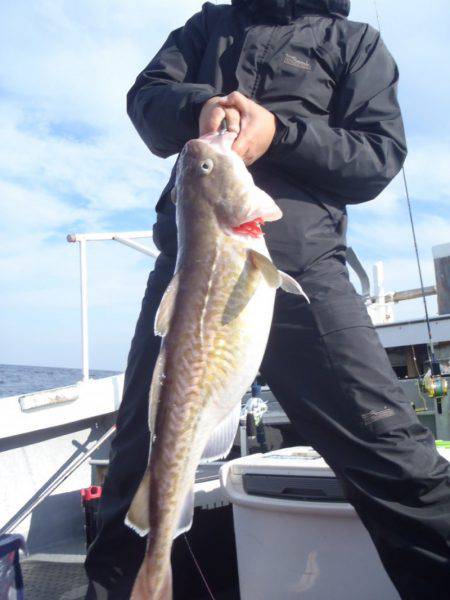 第二龍勢丸 釣果