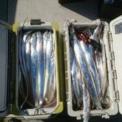 フィッシング　キッタカ 釣果