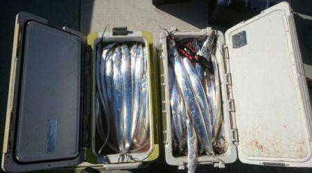 フィッシング　キッタカ 釣果