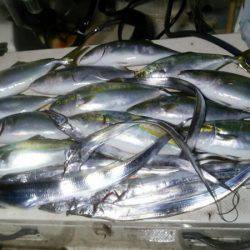 Monster Rush! 釣果