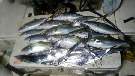 Monster Rush! 釣果