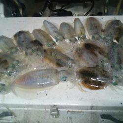 Monster Rush! 釣果