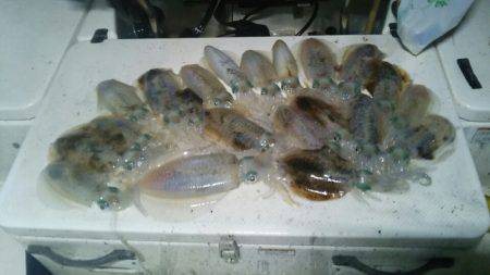 Monster Rush! 釣果