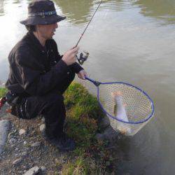 つりぼりあかし 釣果