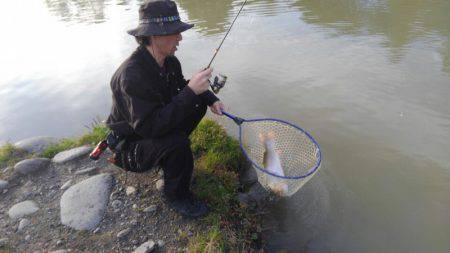つりぼりあかし 釣果