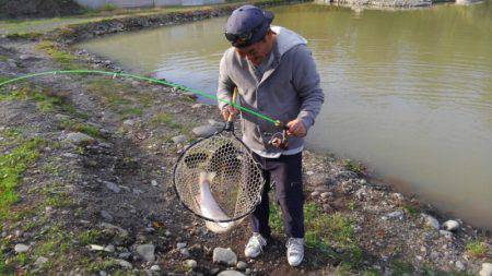 つりぼりあかし 釣果