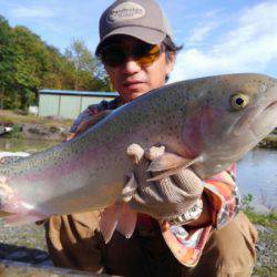 つりぼりあかし 釣果