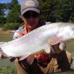 つりぼりあかし 釣果