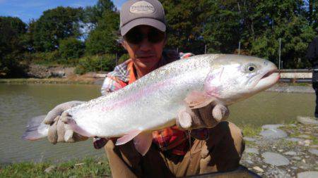 つりぼりあかし 釣果