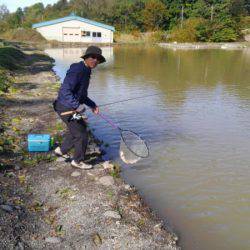 つりぼりあかし 釣果