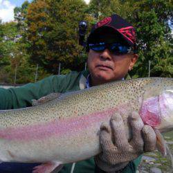 つりぼりあかし 釣果