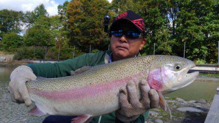 つりぼりあかし 釣果