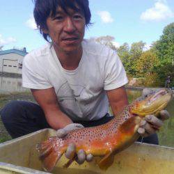 つりぼりあかし 釣果