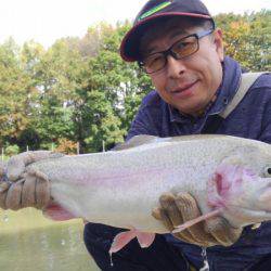 つりぼりあかし 釣果
