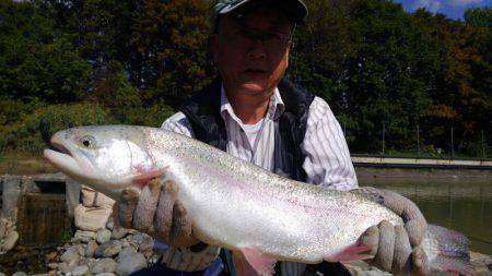 つりぼりあかし 釣果