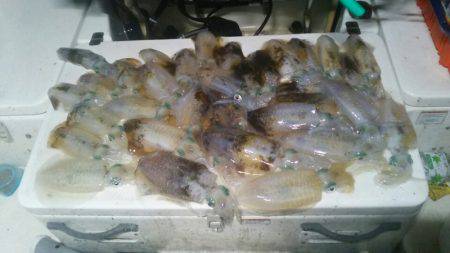 Monster Rush! 釣果