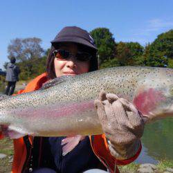 つりぼりあかし 釣果