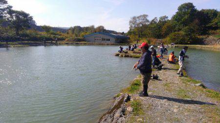 つりぼりあかし 釣果