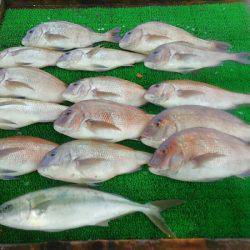 海の釣堀 海恵 釣果