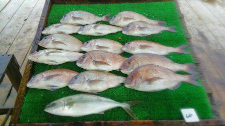 海の釣堀 海恵 釣果