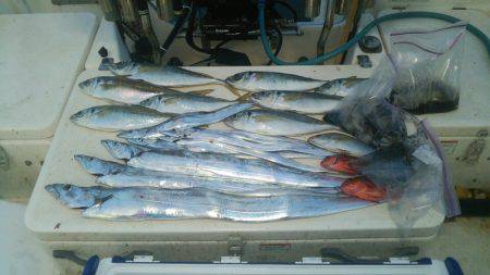 Monster Rush! 釣果