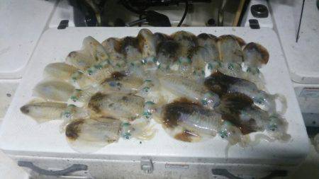 Monster Rush! 釣果