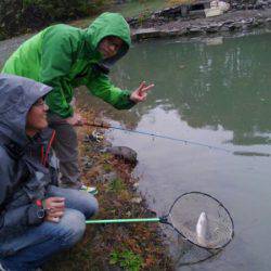 つりぼりあかし 釣果
