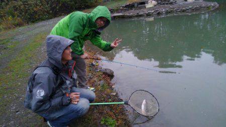 つりぼりあかし 釣果