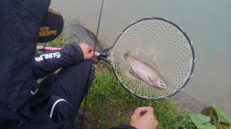 つりぼりあかし 釣果