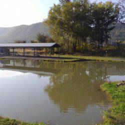 つりぼりあかし 釣果