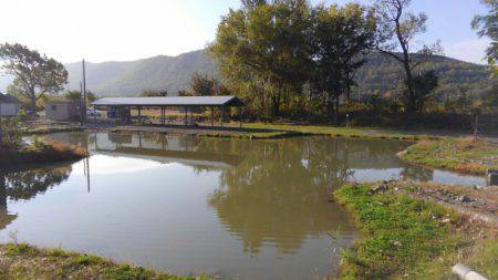 つりぼりあかし 釣果