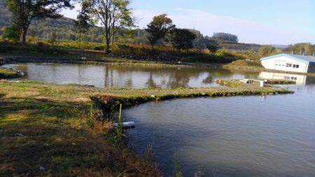 つりぼりあかし 釣果