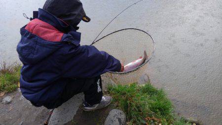 つりぼりあかし 釣果