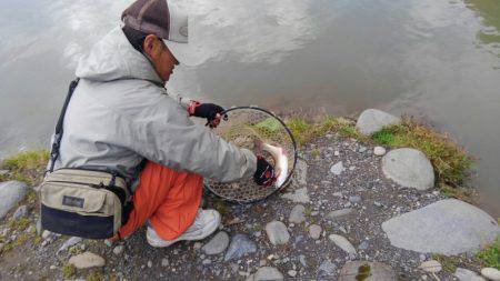つりぼりあかし 釣果