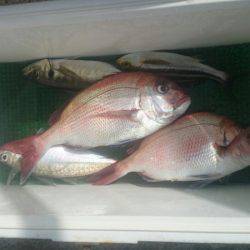 第三共栄丸 釣果