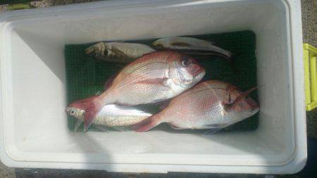 第三共栄丸 釣果