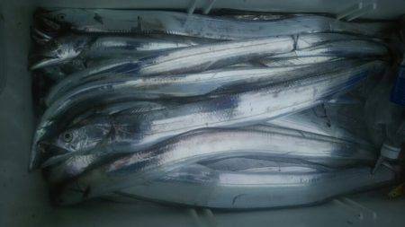 サンマリン 釣果