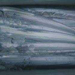 サンマリン 釣果