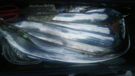 サンマリン 釣果