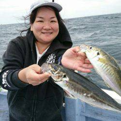 金沢八景鴨下丸 釣果