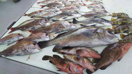 タイラバ遊漁船 ワンピース 釣果