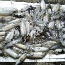 Monster Rush! 釣果