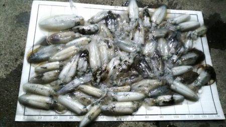 Monster Rush! 釣果