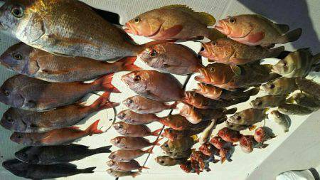 タイラバ遊漁船 ワンピース 釣果