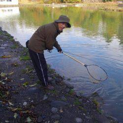 つりぼりあかし 釣果