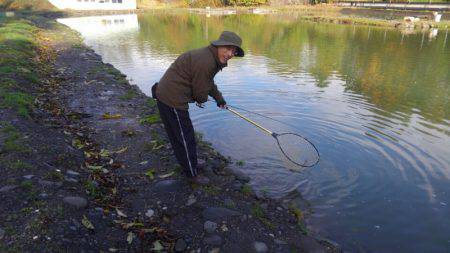 つりぼりあかし 釣果