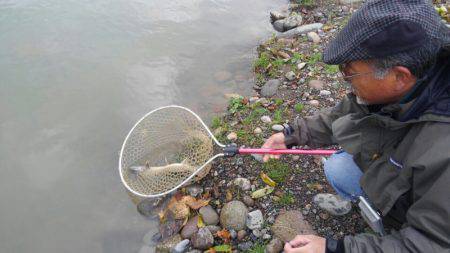 つりぼりあかし 釣果