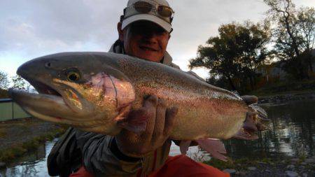 つりぼりあかし 釣果