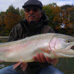 つりぼりあかし 釣果